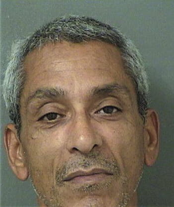 Pedro Alvarezortega, - Palm Beach County, FL 